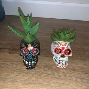 Ceramic sugar skull succulents